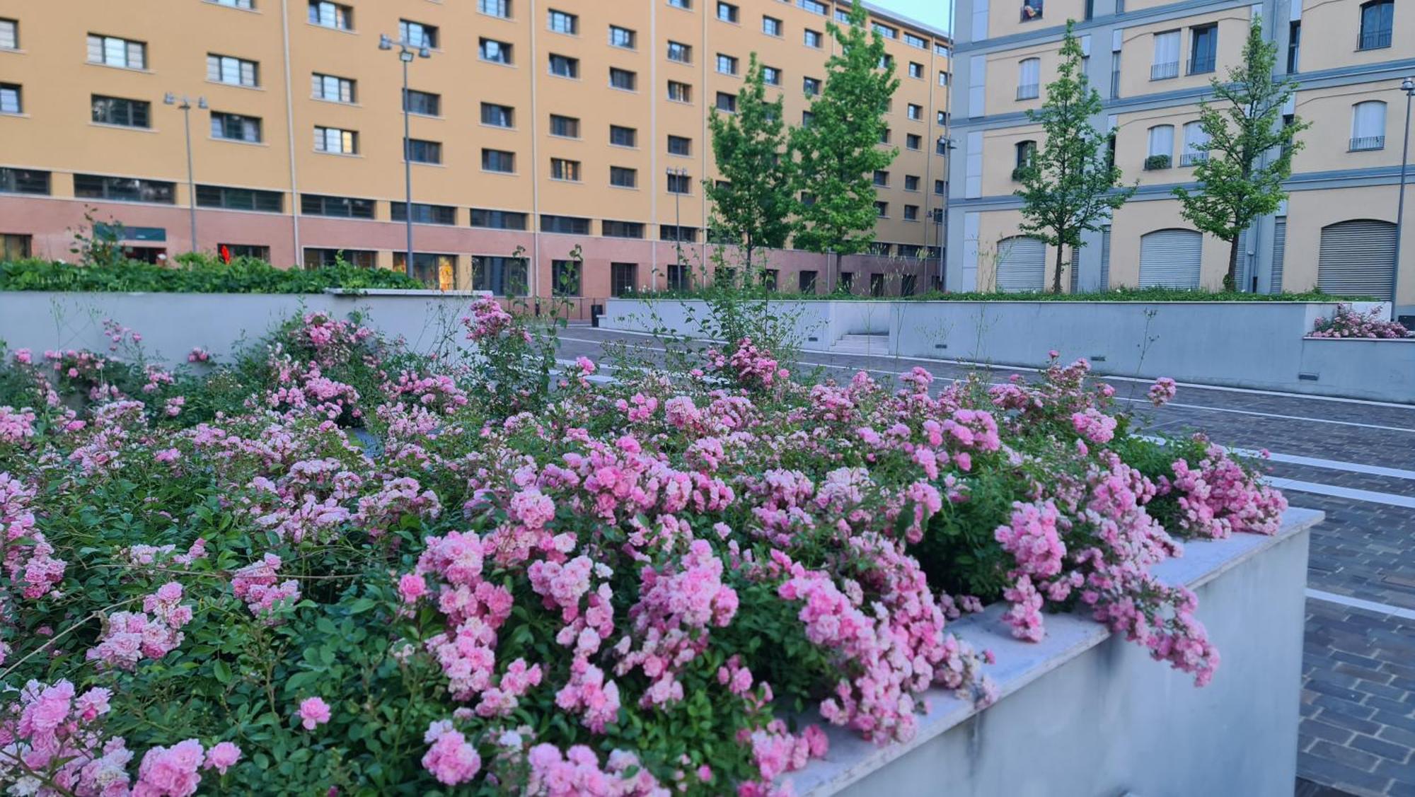 Milan Space Loft - Apartment Close To M5 Subway - Free Parking - Sky & Netflix Tv Kültér fotó